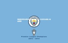 九游会j9-英超夏季转会费流向揭秘，德甲以6.53亿欧元成第二吸金联赛