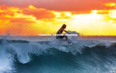 j9九游会官网登录：中超总结之河南，告别保级阴霾，稳定铸就新篇章