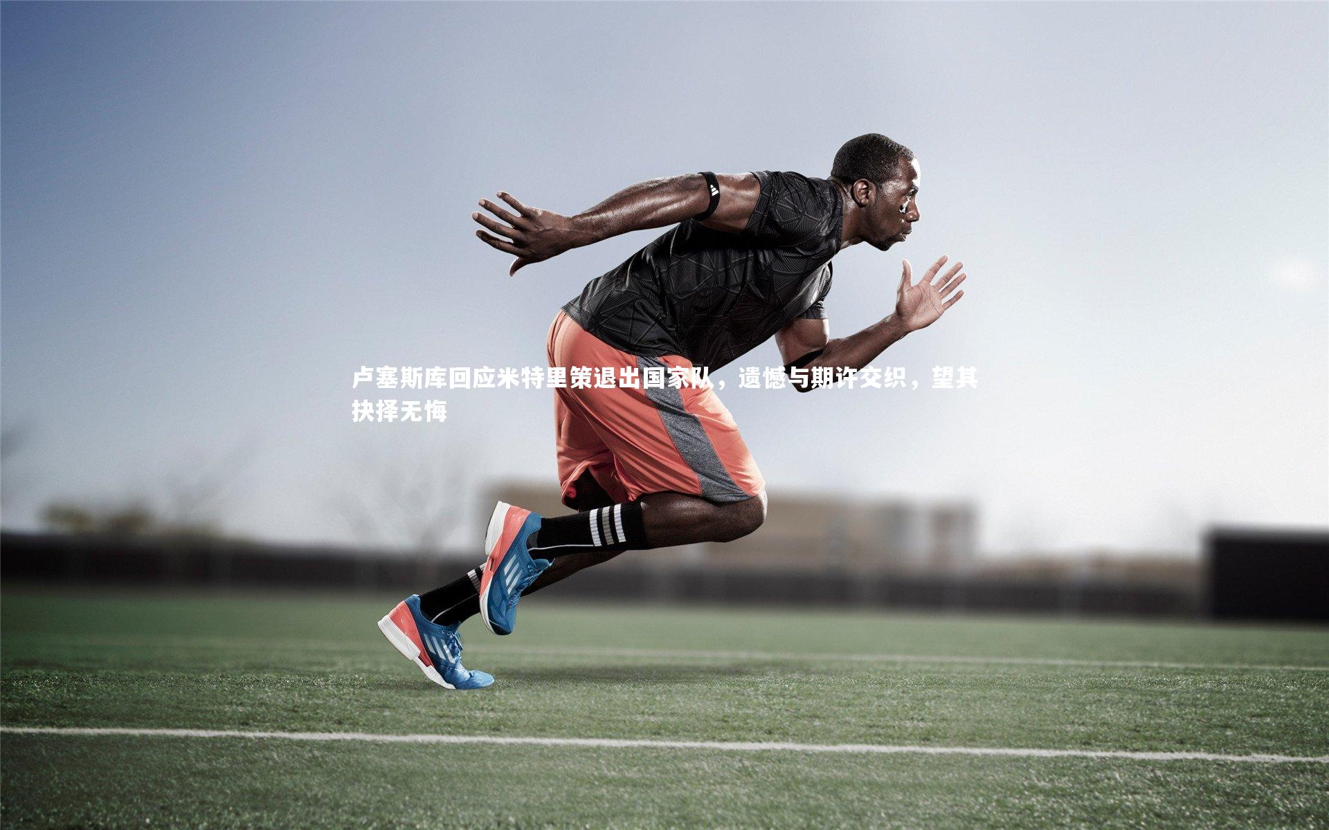 卢塞斯库回应米特里策退出国家队，遗憾与期许交织，望其抉择无悔